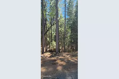 5701 Lupin Lane, Pollock Pines, CA 95726 - Photo 7