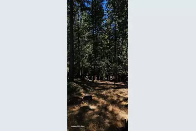 5701 Lupin Lane, Pollock Pines, CA 95726 - Photo 17