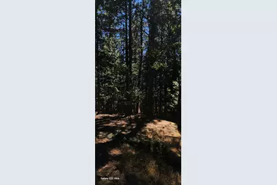 5701 Lupin Lane, Pollock Pines, CA 95726 - Photo 15