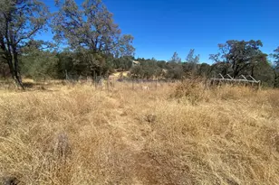 5541 High Sierra Rd, Pilot Hill, CA 95664 - Photo 37