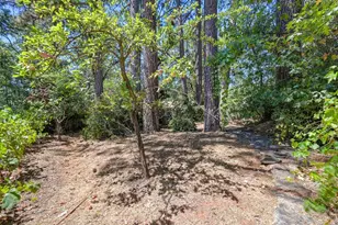 15798 Tippy Way, Grass Valley, CA 95949 - Photo 5