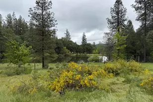 14792 Wabash Ave, Grass Valley, CA 95945 - Photo 9
