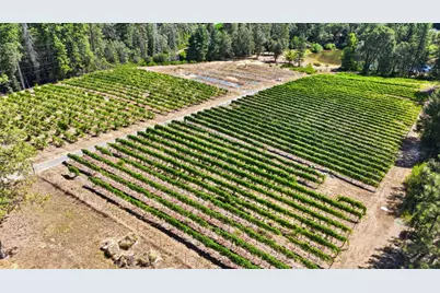14792 Wabash Avenue, Grass Valley, CA 95945 - Photo 11