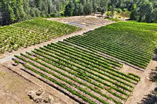 14792 Wabash Ave, Grass Valley, CA 95945 - Photo 11