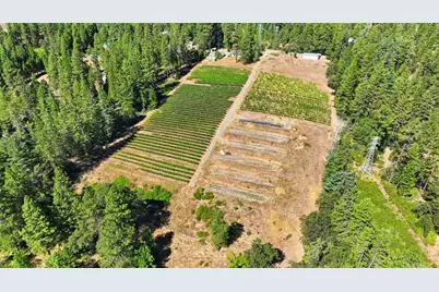 14792 Wabash Avenue, Grass Valley, CA 95945 - Photo 39