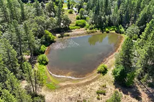 14792 Wabash Ave, Grass Valley, CA 95945 - Photo 35