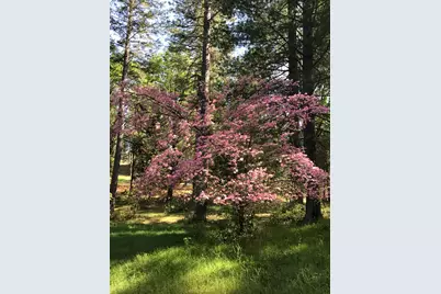 14792 Wabash Avenue, Grass Valley, CA 95945 - Photo 17