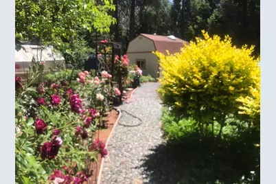 25985 Forest Knoll Court, Pioneer, CA 95666 - Photo 41