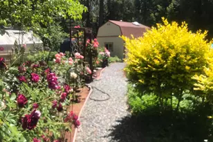 25985 Forest Knoll Ct, Pioneer, CA 95666 - Photo 41