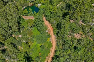 19114 Halcon Crest Ct, Grass Valley, CA 95949 - Photo 79