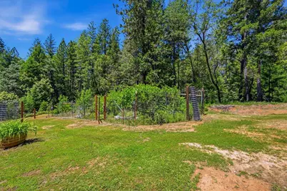 14381 Marysville Road, Camptonville, CA 95922 - Photo 5