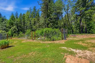 14381 Marysville Rd, Camptonville, CA 95922 - Photo 5