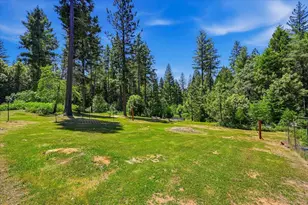 14381 Marysville Rd, Camptonville, CA 95922 - Photo 21