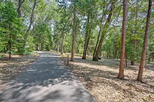 12283 Dobbins Dr, Nevada City, CA 95959 - Photo 61