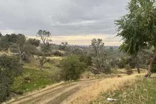 39874 Lilley Mountain Dr, Coarsegold, CA 93614 - Photo 57