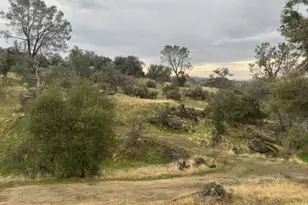 39874 Lilley Mountain Dr, Coarsegold, CA 93614 - Photo 53