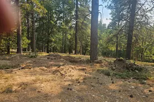 1712 Ridge Rd, Mokelumne Hill, CA 95245 - Photo 63