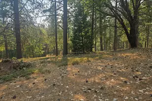 1712 Ridge Rd, Mokelumne Hill, CA 95245 - Photo 37