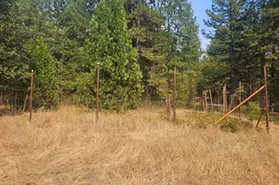 1712 Ridge Rd, Mokelumne Hill, CA 95245 - Photo 33