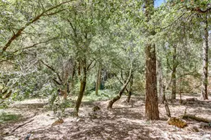 1900 Peaceful Valley Rd, Colfax, CA 95713 - Photo 37