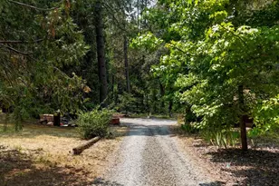 10960 Berggren Ln, Nevada City, CA 95959 - Photo 33