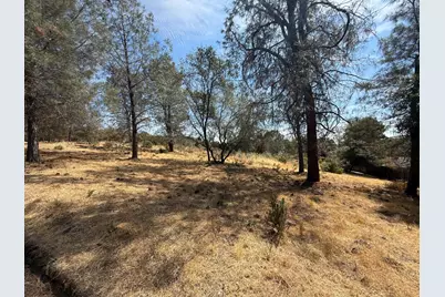 2995 Royce, Rescue, CA 95762 - Photo 3
