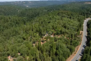 22161 State Hwy 88, Pine Grove, CA 95665 - Photo 63