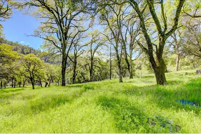 12584 Kodiak Lane, Grass Valley, CA 95949 - Photo 33