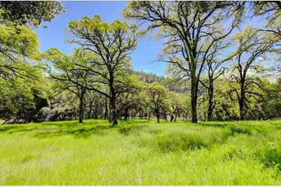 12584 Kodiak Lane, Grass Valley, CA 95949 - Photo 11