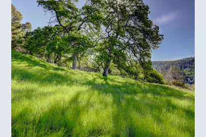 12584 Kodiak Lane, Grass Valley, CA 95949 - Photo 47