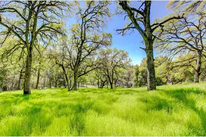 12584 Kodiak Lane, Grass Valley, CA 95949 - Photo 39