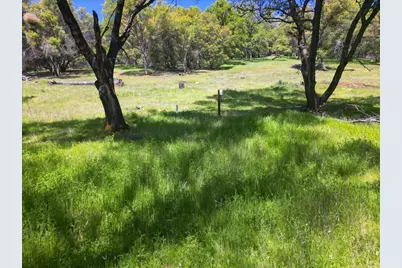12584 Kodiak Lane, Grass Valley, CA 95949 - Photo 19