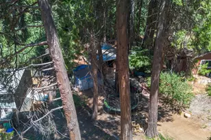 Marjorie Way, Pollock Pines, CA 95726 - Photo 17