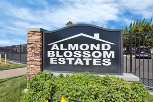 Pestana, Manteca, CA 95336 - Photo 33