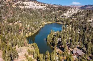 201 Bear Valley Rd, Bear Valley, CA 95223 - Photo 15