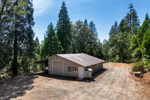 12117 Boundary Way, Grass Valley, CA 95945 - Photo 5