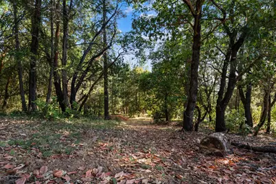 6561 Highgrade Court, Placerville, CA 95667 - Photo 37