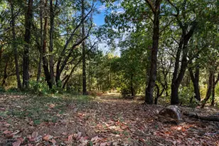 6561 Highgrade Ct, Placerville, CA 95667 - Photo 37