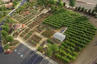 5032 Covered Bridge Way, El Dorado Hills, CA 95762 - Photo 35