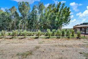 2947 County Road 88, Dunnigan, CA 95937 - Photo 59