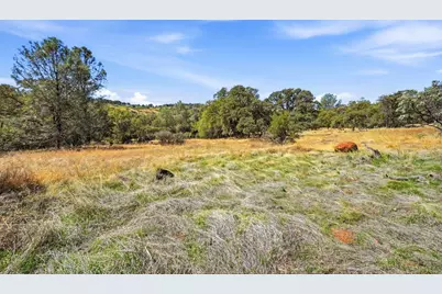 12867 Danzer Place, Grass Valley, CA 95949 - Photo 15