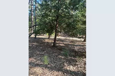 5667 Maywood Drive, Foresthill, CA 95631 - Photo 1