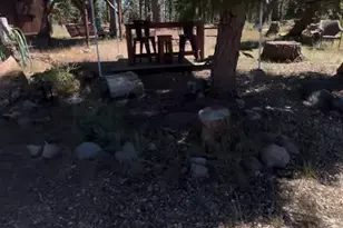 60 Liberty Rd, Dorrington, CA 95223 - Photo 33