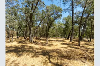3288 Eastview Drive, Shingle Springs, CA 95682 - Photo 43