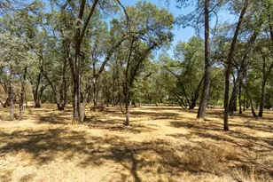 3288 Eastview Dr, Shingle Springs, CA 95682 - Photo 43