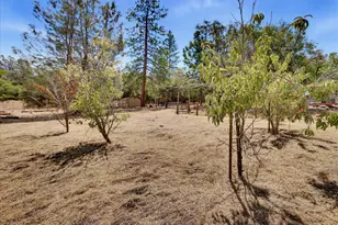 17616 Pioneer Way, Rough and Ready, CA 95975 - Photo 67