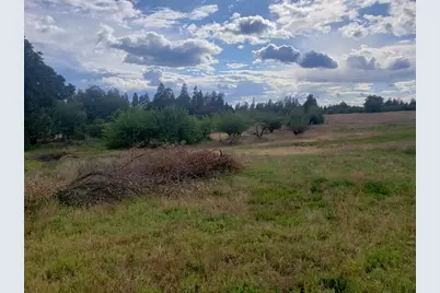 10 Braeburn Lane, Placerville, CA 95667 - Photo 3