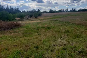 10 Braeburn Ln, Placerville, CA 95667 - Photo 1