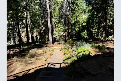2286 Sultana Road, Arnold, CA 95223 - Photo 5