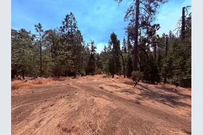 7836 Mount Aukum Road, Somerset, CA 95684 - Photo 5